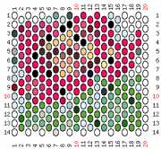 pattern Plants Roses