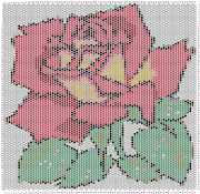 pattern Plants Roses