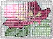 pattern Plants Roses