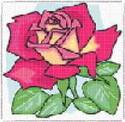 pattern Plants Roses