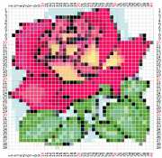 pattern Plants Roses