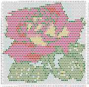 pattern Plants Roses