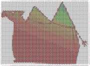 pattern Animals Camels