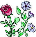 image Plants Flowers