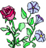 image  Plants Flowers