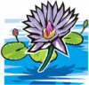 image  Plants Flowers