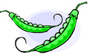 image Plants Vegetables