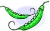 image  Plants Vegetables