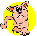 image Animals Cats