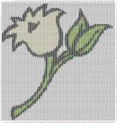 pattern Plants Flowers