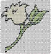 pattern Plants Flowers