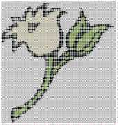 pattern Plants Flowers