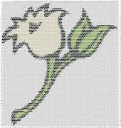 pattern Plants Flowers