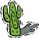image Plants Cactuses