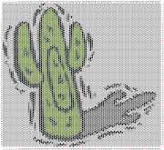 pattern Plants Cactuses