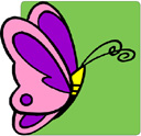 image Animals Butterflies
