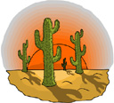 image Plants Cactuses