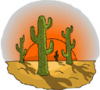 image  Plants Cactuses