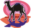 image  Animals Camels