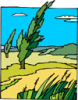 image  Plants Trees