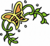 image  Animals Butterflies