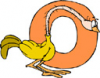 image  Animals Birds