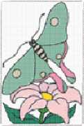 pattern Animals Butterflies