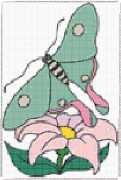 pattern Animals Butterflies