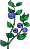 image  Plants Flowers