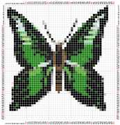 pattern Animals Butterflies
