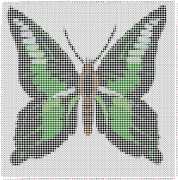 pattern Animals Butterflies