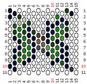 pattern Animals Butterflies