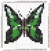 pattern Animals Butterflies