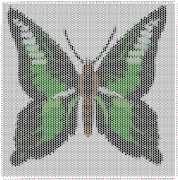 pattern Animals Butterflies