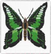pattern Animals Butterflies