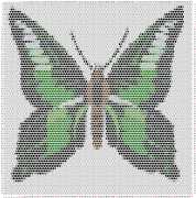 pattern Animals Butterflies