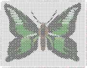 pattern Animals Butterflies