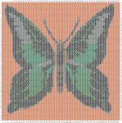 pattern Animals Butterflies