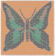 pattern Animals Butterflies