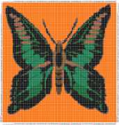 pattern Animals Butterflies
