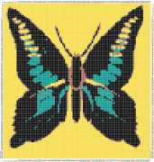 pattern Animals Butterflies