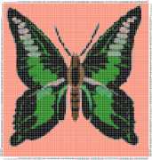 pattern Animals Butterflies