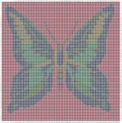 pattern Animals Butterflies