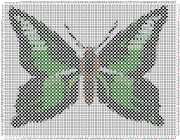 pattern Animals Butterflies