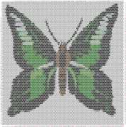 pattern Animals Butterflies