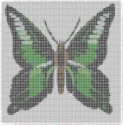 pattern Animals Butterflies