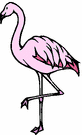 image Animals Flamingo