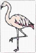 pattern Animals Flamingo