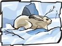 image Weather Winter
