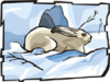 image  Weather Winter